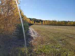 Residential Land Plamondon homes