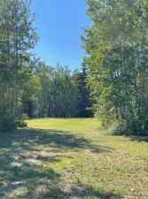 Just listed NONE homes for sale new Lot #2   in NONE Rural Mackenzie County