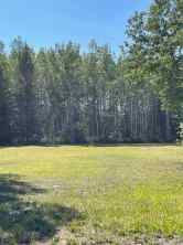 Just listed NONE homes for sale new Lot #4   in NONE Rural Mackenzie County
