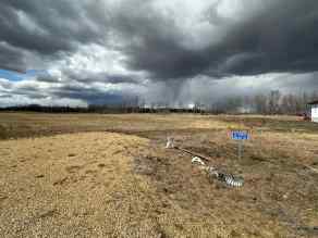 Just listed Pineridge Downs homes for sale new 52, 475013 RGE RD 243   in Pineridge Downs Rural Wetaskiwin No. 10, County of