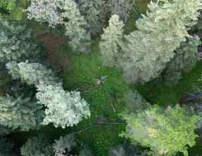 Just listed NONE homes for sale new  Mountain Lion Drive  in NONE Rural Rocky View County