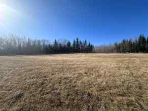 Just listed NONE homes for sale new ooo Bayshore DR   in NONE Rural Lac La Biche County