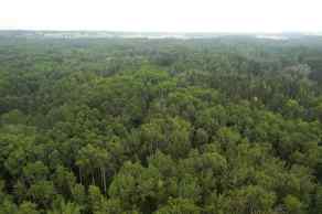 Just listed NONE homes for sale new On Range Road 14   in NONE Rural Ponoka County