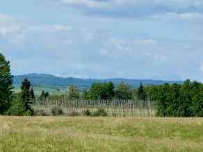 Just listed NONE homes for sale new  RR40 south of Twp Rd 293   in NONE Rural Mountain View County