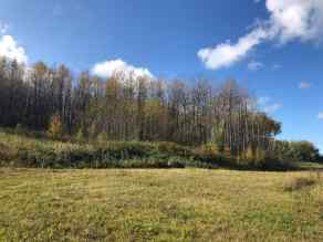 Residential Land Plamondon homes