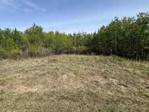 Just listed Grandview Estate homes for sale new  Grandview Estates   in Grandview Estate Rural Vermilion River, County of
