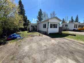 Mobile Hinton homes
