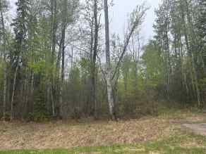Residential Land Conklin homes