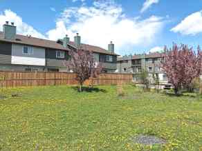 Row/Townhouse Rundle homes
