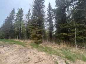 Residential Land Conklin homes