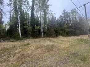 Residential Land Conklin homes