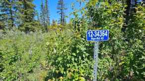 Residential Land Rural Mountain View County homes
