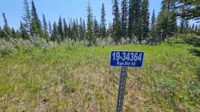 Residential Land Rural Mountain View County homes