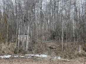 Recreational West Baptiste homes