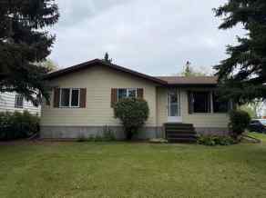 Just listed Viking homes for sale new 5039 52 Avenue  in Viking Viking