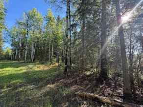 Just listed Perryvale homes for sale new Township road 640   in Perryvale Perryvale