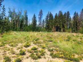 Residential Land Fort Vermilion homes