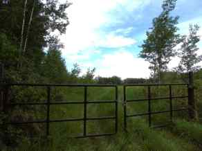Just listed NONE homes for sale new  Township Road 731A   in NONE Rural Big Lakes County