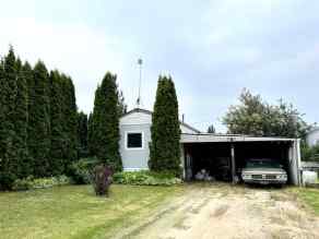 Detached Bittern Lake homes