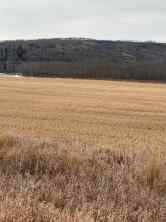 Just listed NONE homes for sale new 3-1-2121458 242A Range  in NONE Rural Birch Hills County