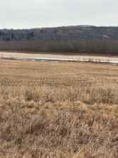 Just listed NONE homes for sale new 1-1-2121458 242A Range  in NONE Rural Birch Hills County
