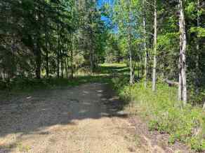 Just listed Jada Development homes for sale new Unit-12-421022 Range Road 260   in Jada Development Rural Ponoka County