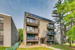 Apartment Lower Mount Royal homes