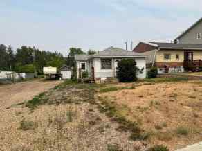 Detached Downtown homes