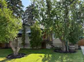 Detached Rosemary homes
