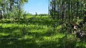Just listed NONE homes for sale new  Highway 20   in NONE Rural Ponoka County