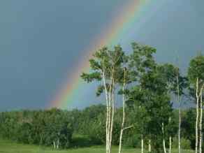 Just listed Grandview Estates homes for sale new Unit-17-420069 Range Road 284   in Grandview Estates Rural Ponoka County