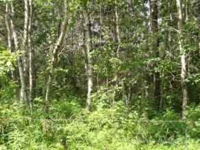 Residential Land Brightsand Lake homes
