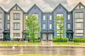 Row/Townhouse Evanston Ridge homes