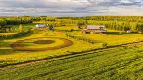 Agriculture Rural Saddle Hills County homes