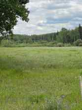 Residential Land Elmworth homes