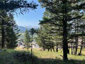 Residential Land Coleman homes