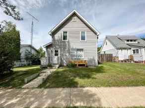 Detached Downtown East homes