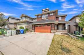 Detached Evanston Ridge homes