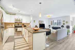 Row/Townhouse Skyview Ranch homes
