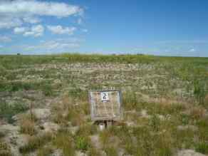 Just listed NONE homes for sale new 512 Coulee Trail  in NONE Stavely