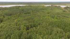 Just listed NONE homes for sale new Township Road 694 Range Road 210   in NONE Athabasca