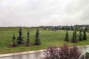 Detached Nolan Hill homes