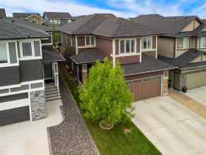 Detached Evanston Ridge homes