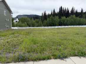 Residential Land Nordegg homes