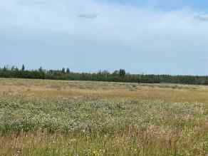Residential Land Rural Saddle Hills County homes