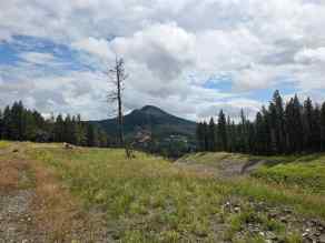 Residential Land Coleman homes