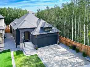 Detached Rocky Ridge homes