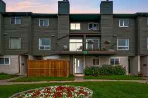 Row/Townhouse Rundle homes
