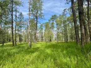 Residential Land Rural Ponoka County homes