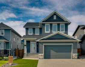 Detached Ravenswood homes
